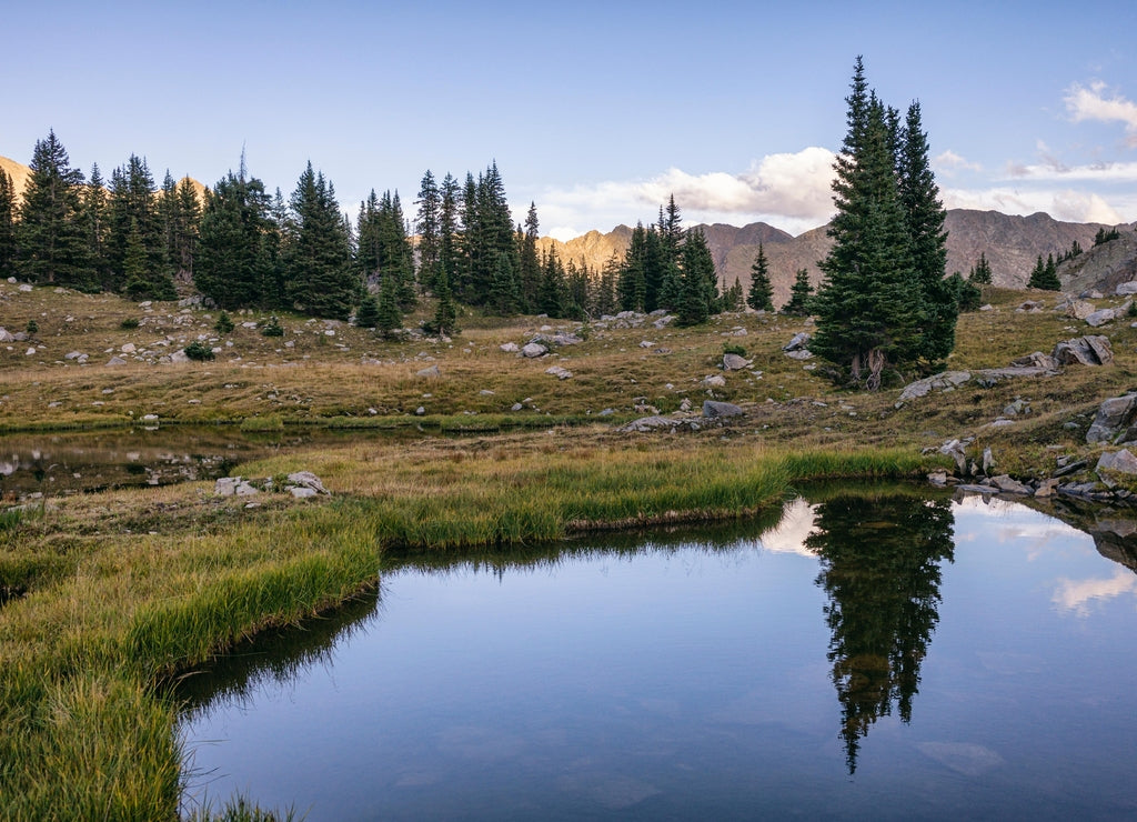 Landscape in the Holy Cross Wilderness, Colorado