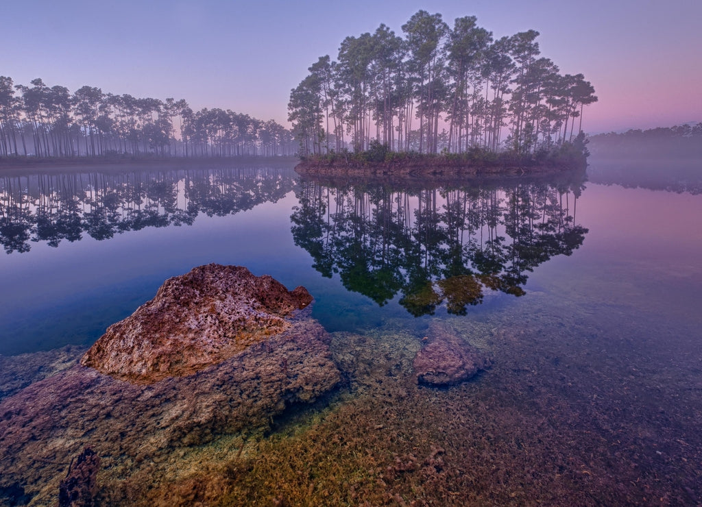 Dawn at Long Pine Key Lake in Everglades National Park near Homestead, Florida