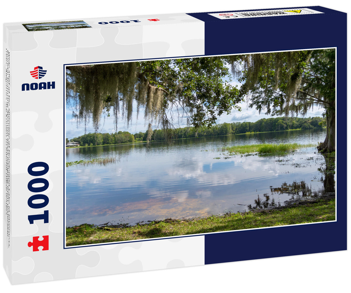 Wide shot of the shoreline of Henderson Lake in Inverness, Florida, featuring Spanish Moss hanging from waterside trees. Alligators are known to inhabit these waters