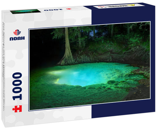 Pot Springs on the Withlacoochee River, Hamilton County, Florida