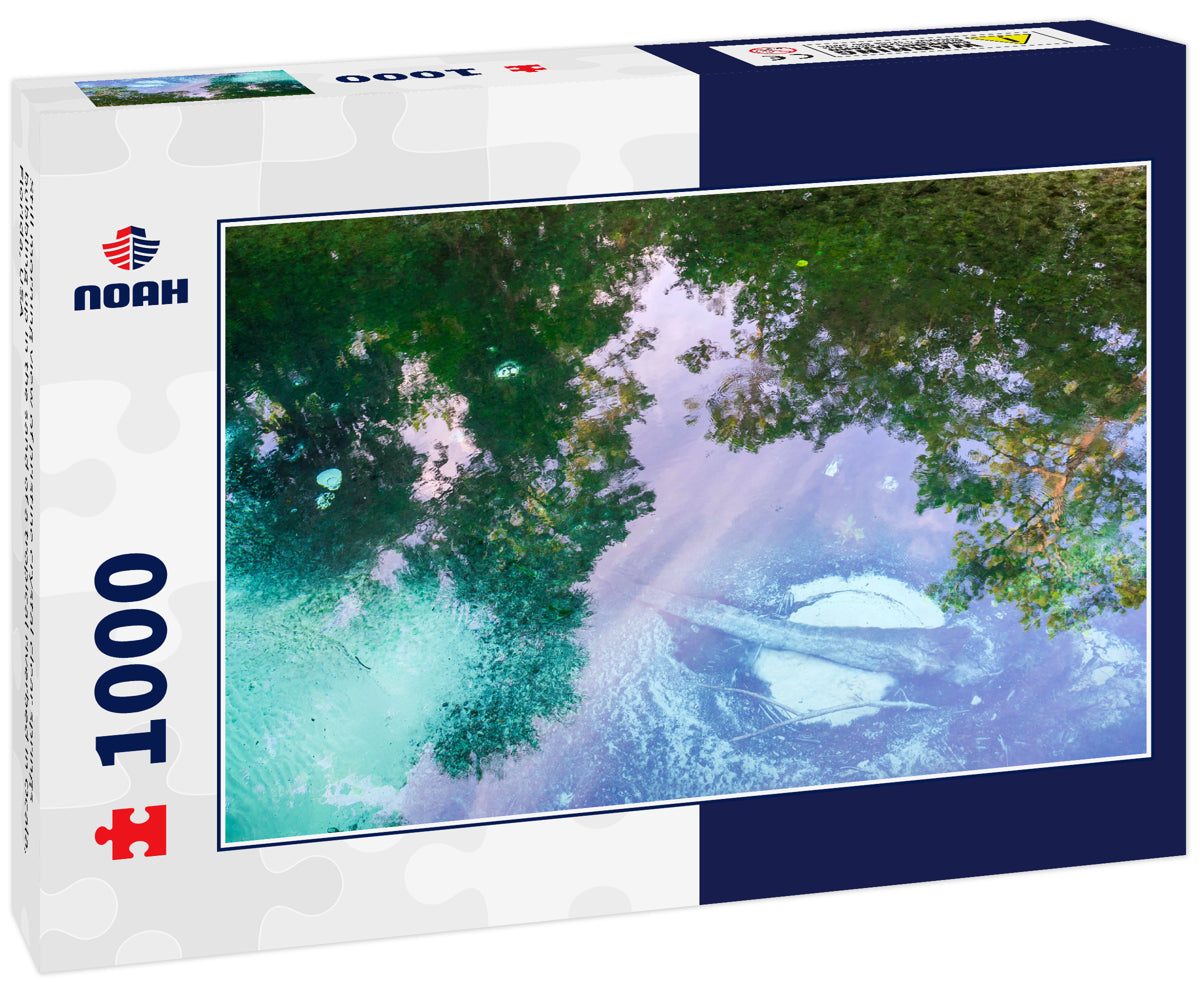 Still morning view of pristine crystal clear springs bubbling up in the sand of a tropical riverbed in Ocala, Florida, USA