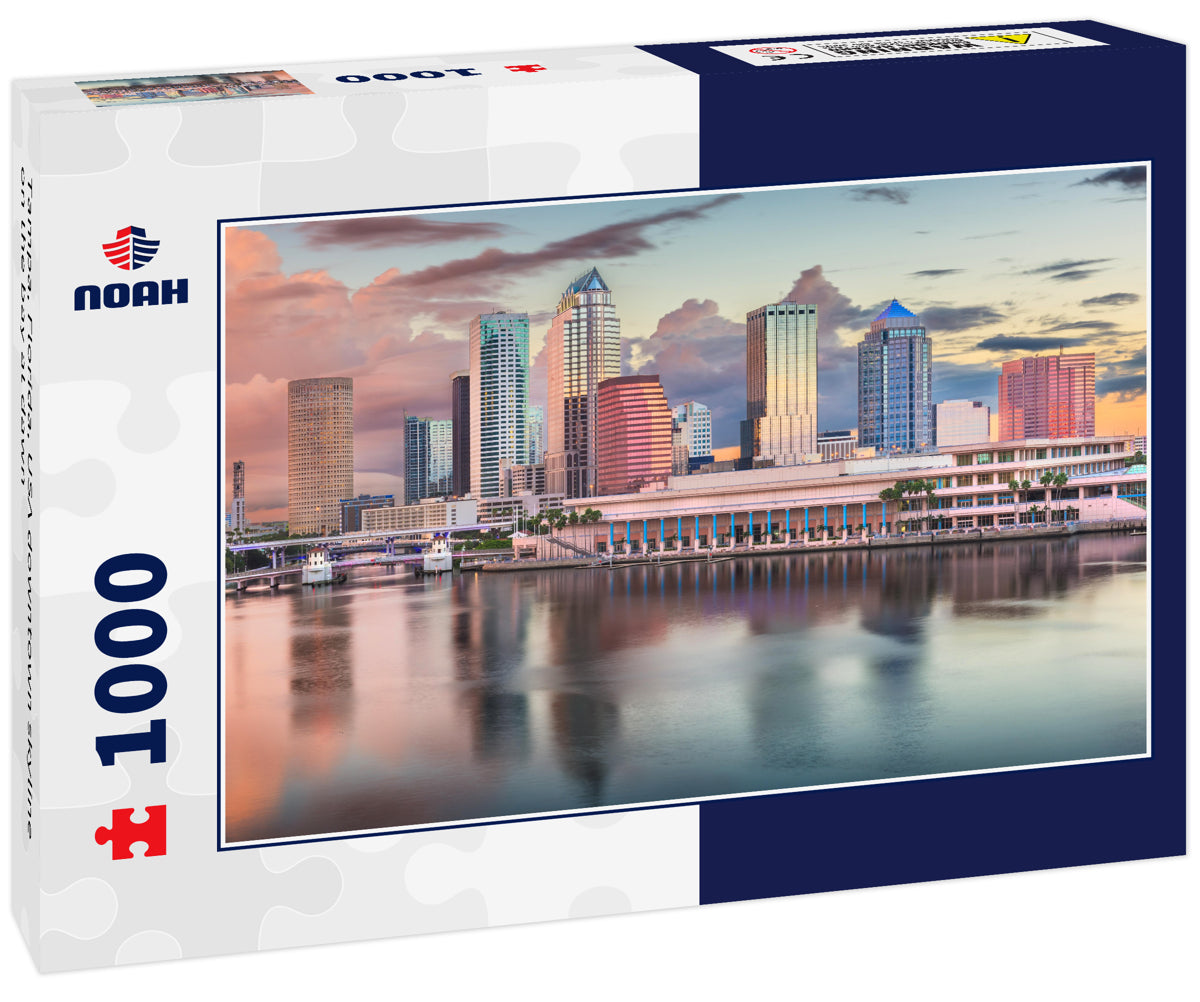 Tampa, Florida, USA downtown skyline on the bay at dawn