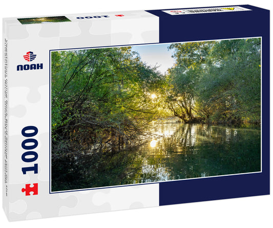 Vegetation lining Rock Bluff Spring run on the Suwanneee River, Gilchrist County, Florida