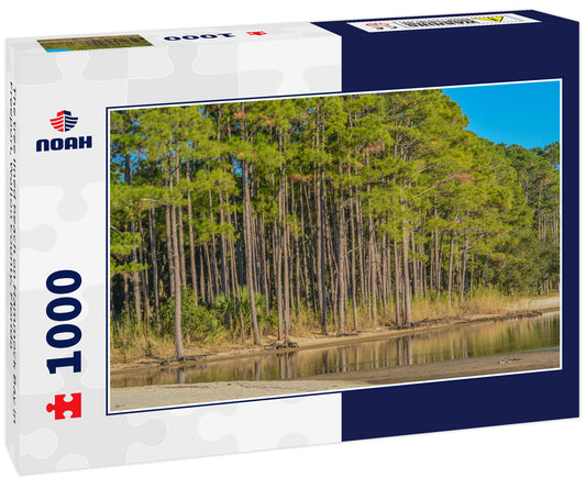 The tree lined beach on Hammock Bay in Freeport, Walton County, Florida