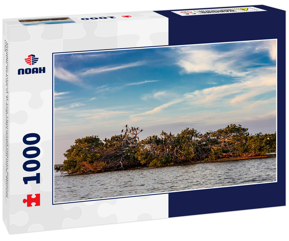 Mangrove Island at Ten Thousand Islands National Wildlife Refuge in Everglades National Park, Florida, USA