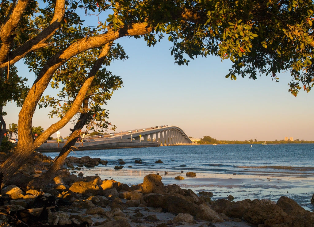 Fort Myers Bridge, Florida, view through the wooden branches tree from the beach on warm afternoon golden sun light, The Sanibel Island Causeway