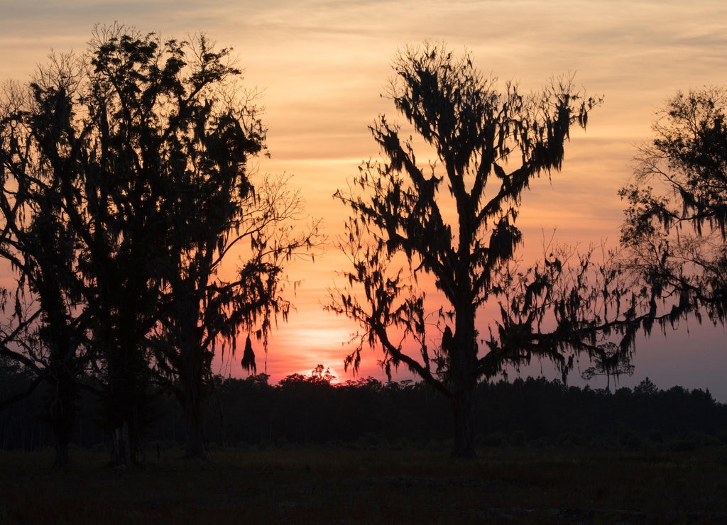 Sunset over Homerville Georgia