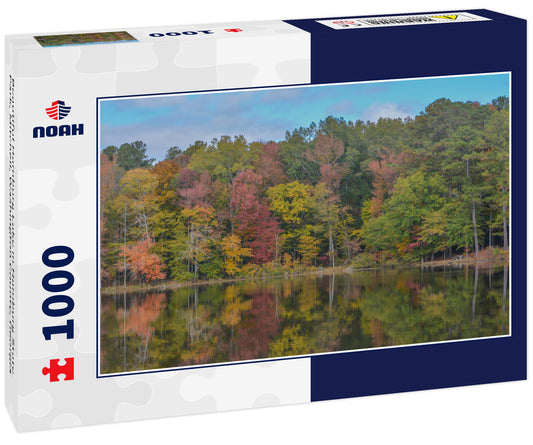 Beautiful Hamburg Lake in Hamburg State Park, Mitchell, Washington County, Georgia