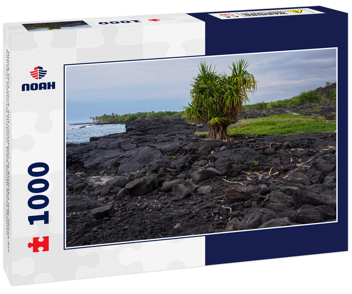 Black lava rock and coastline at Alahaka Bay along Ala Kahakai National Historic Trail South Kona Hawaii