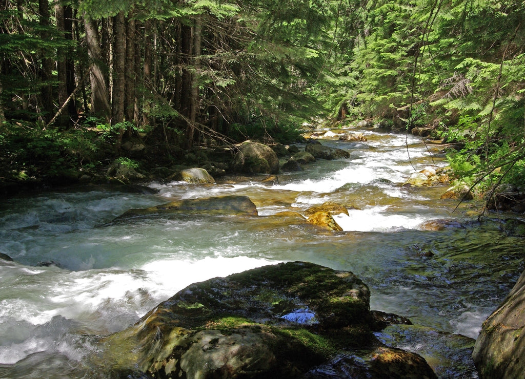 National Forests. St. Joe National Forest, Idaho. Boulder Creek
