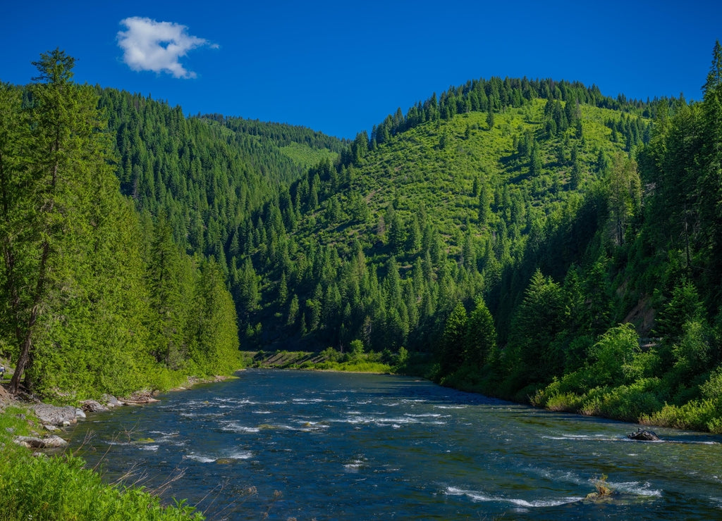 St. Joe River outside of St. Maries Idaho