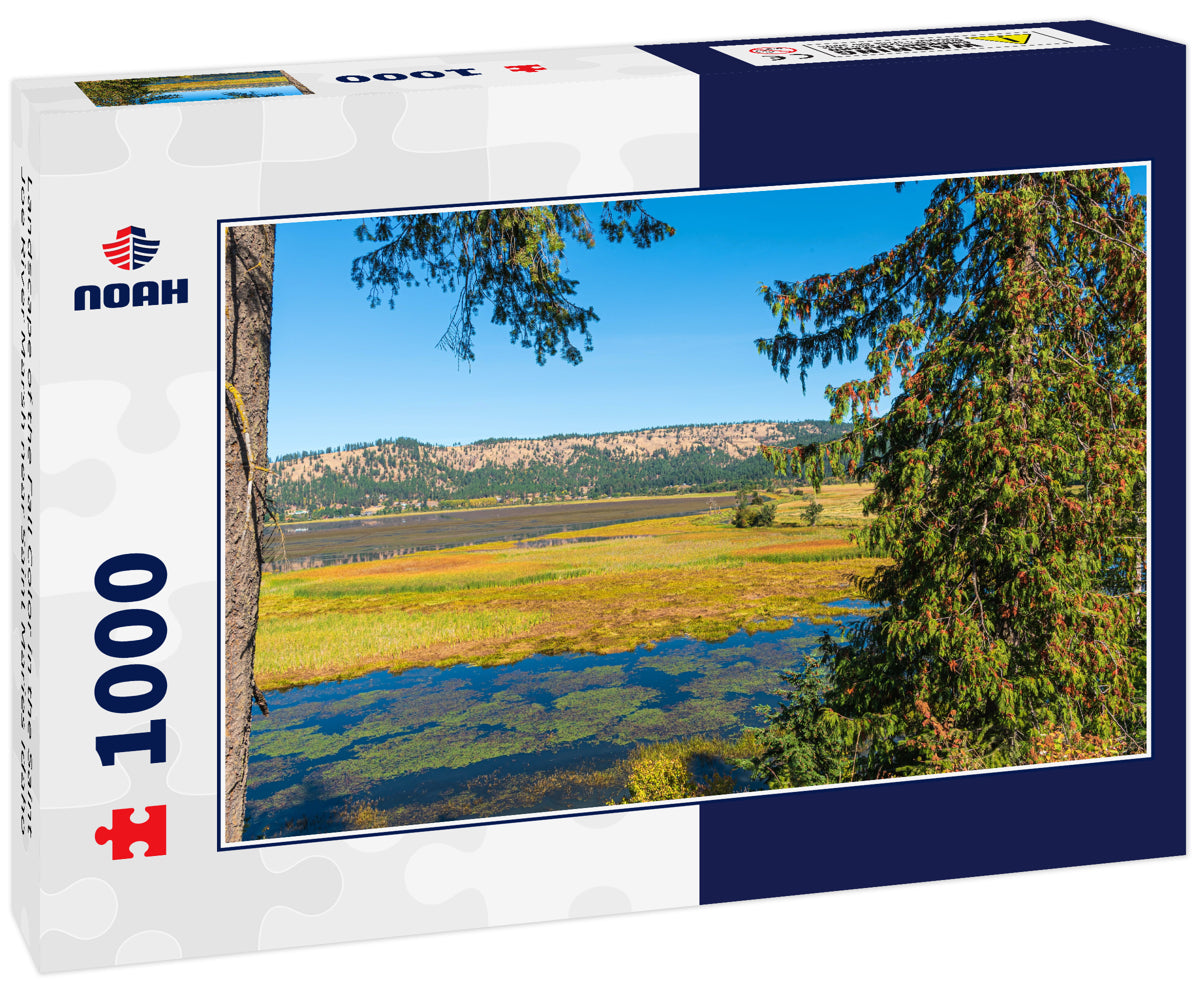 Landscape of the Fall Color in the Saint Joe River Marsh near Saint Maries Idaho