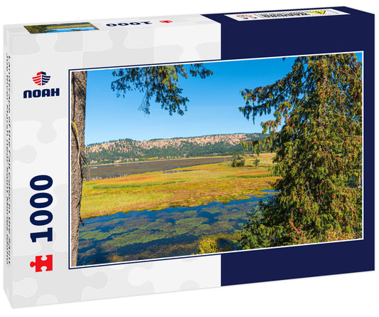 Landscape of the Fall Color in the Saint Joe River Marsh near Saint Maries Idaho