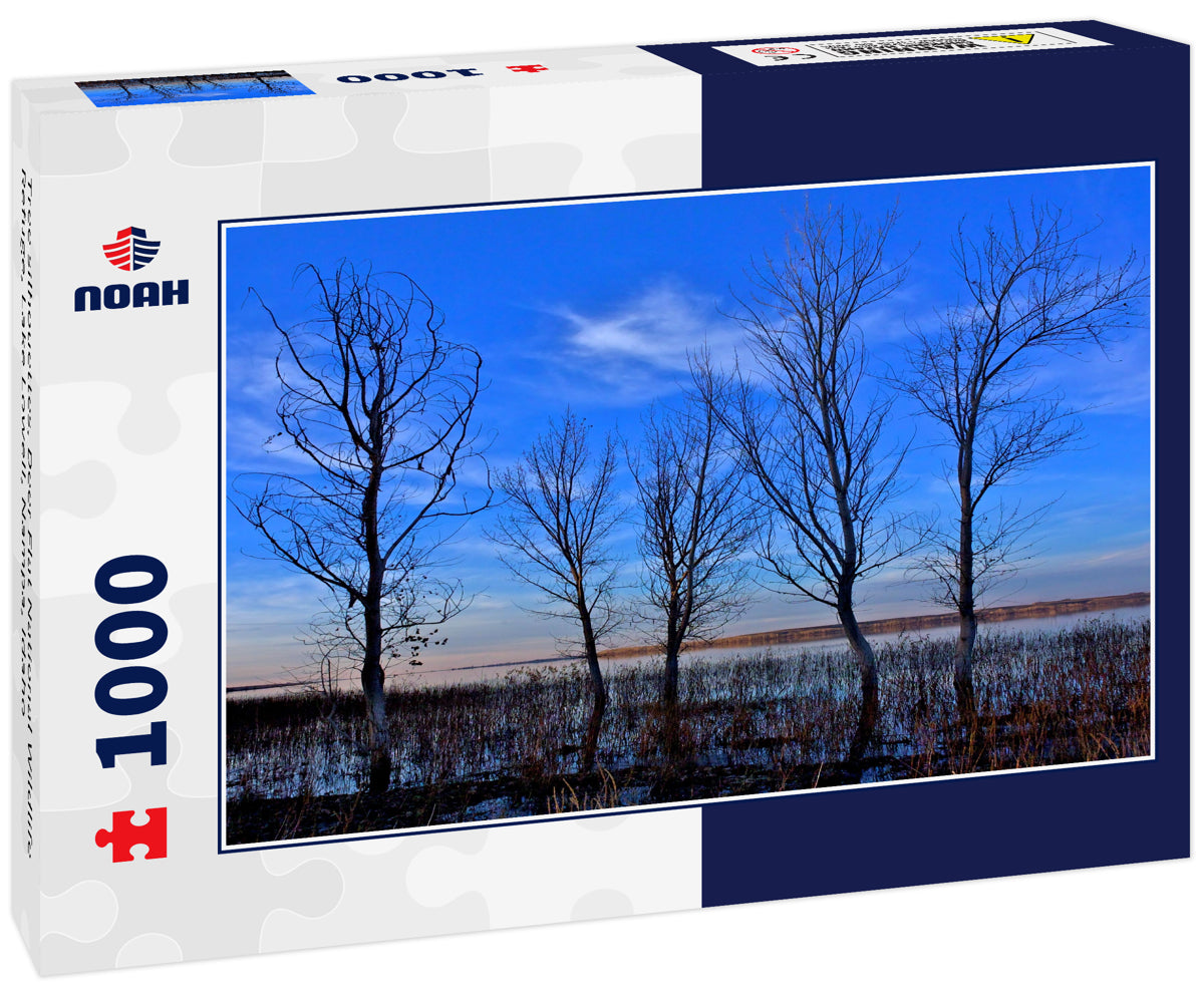 Tree silhouettes, Deer Flat National Wildlife Refuge, Lake Lowell, Nampa, Idaho