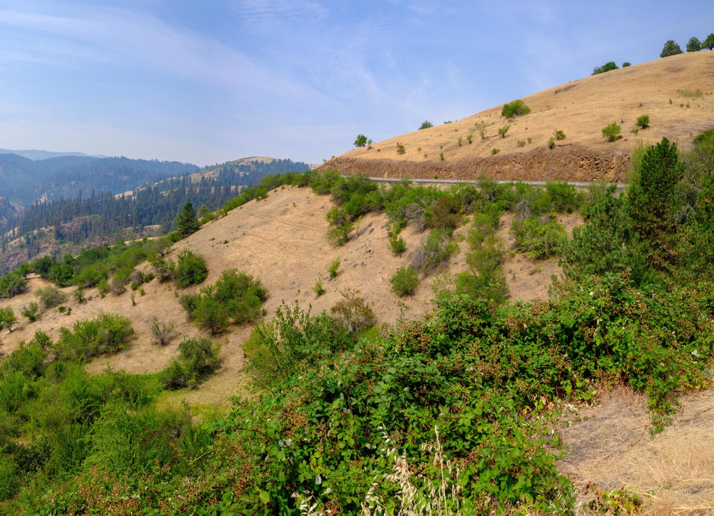 A panoramic view of Nez Perce National Forest near Grangeville, Idaho, USA