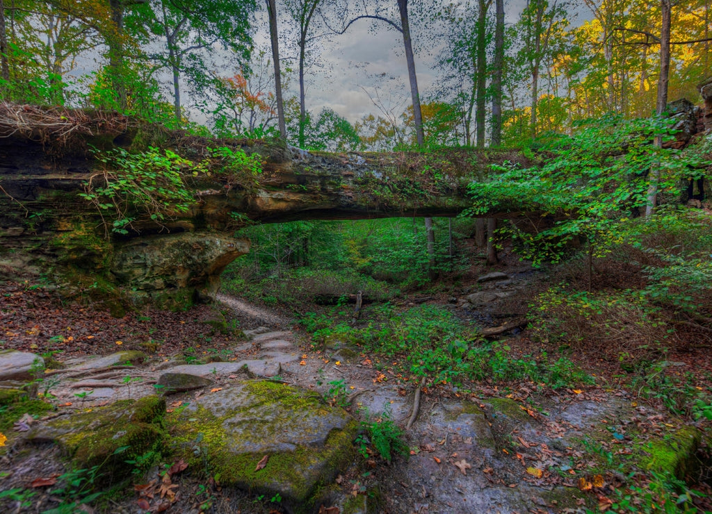 Pomona Natural Bridge Shawnee National Forest Pomona Illinois