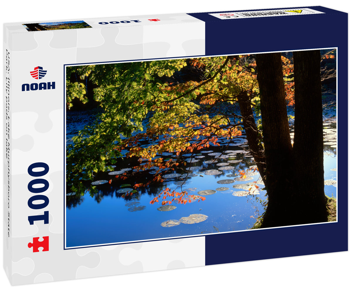 USA, Illinois, Lake Murphysboro State Park. Lily pads on lake