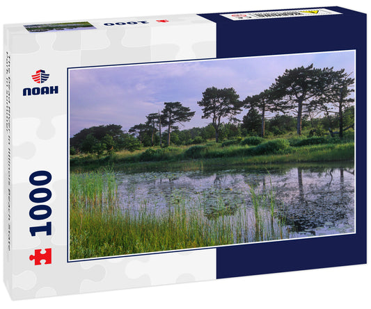 The Dead River in Illlinois Beach State Park in summer