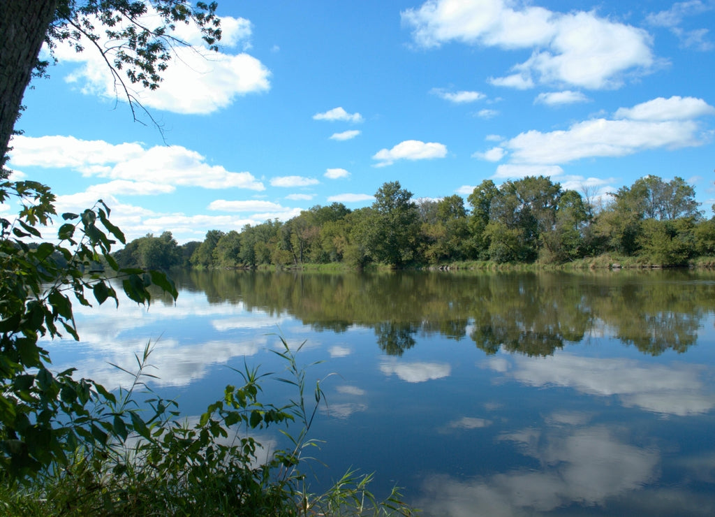 Fox River, Silver Springs State Park, Yorkville, Illinois
