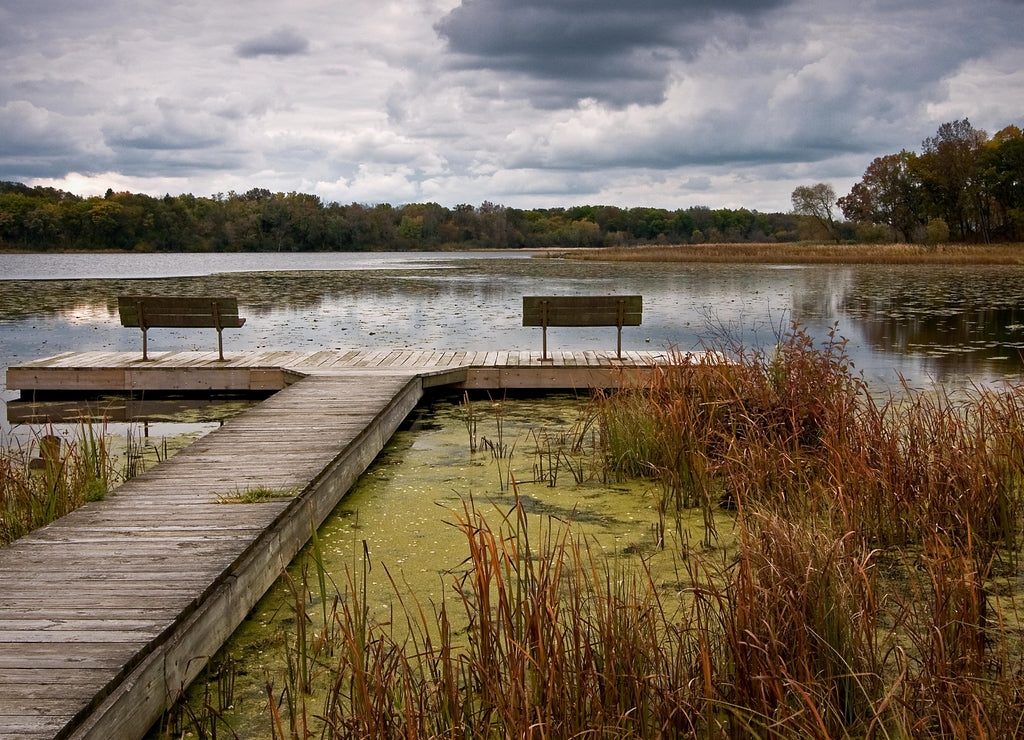An overcast fall day on Lake Defiance, Moraine Hills State Park, McHenry, Illinois