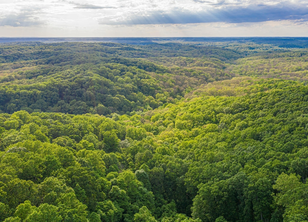 Beautiful summer landscape with dense green vegetation against cloudy sky. Brown County, Indiana
