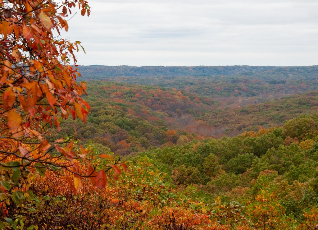 autumn landscape with trees and blue sky - Nashville Indiana - Brown County State Park
