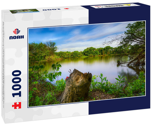 Beautiful scene of the Loop Island Wetlands in New Albany Indiana with trees with a blue cloudy sky