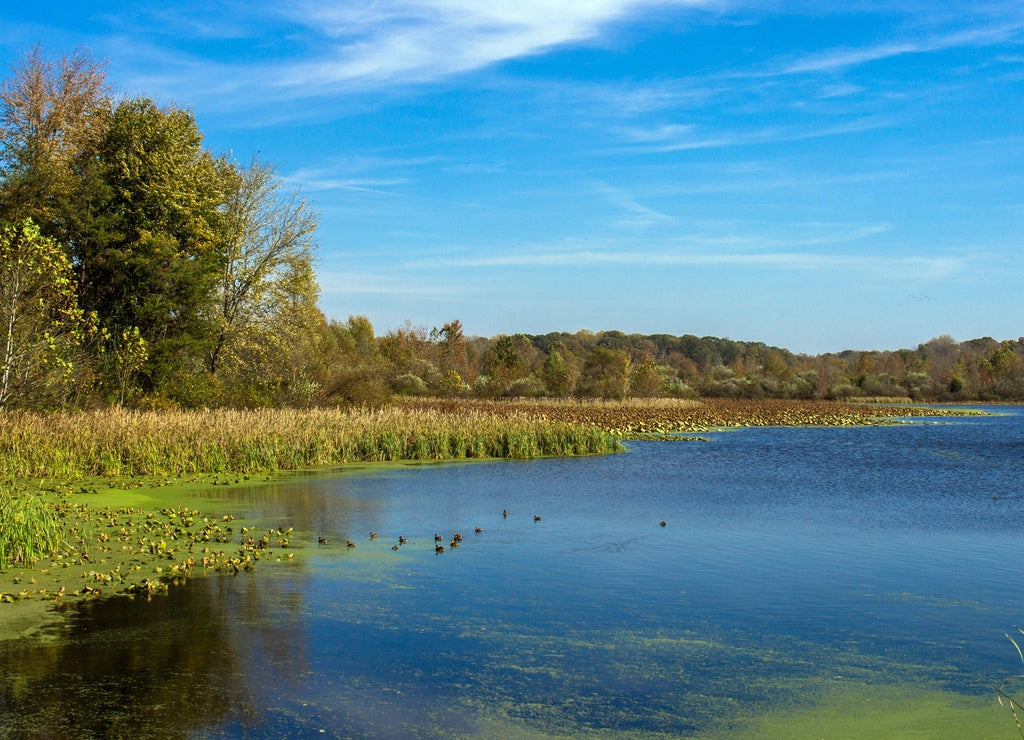 Muscatatuck National Wildlife Refuge in Indiana