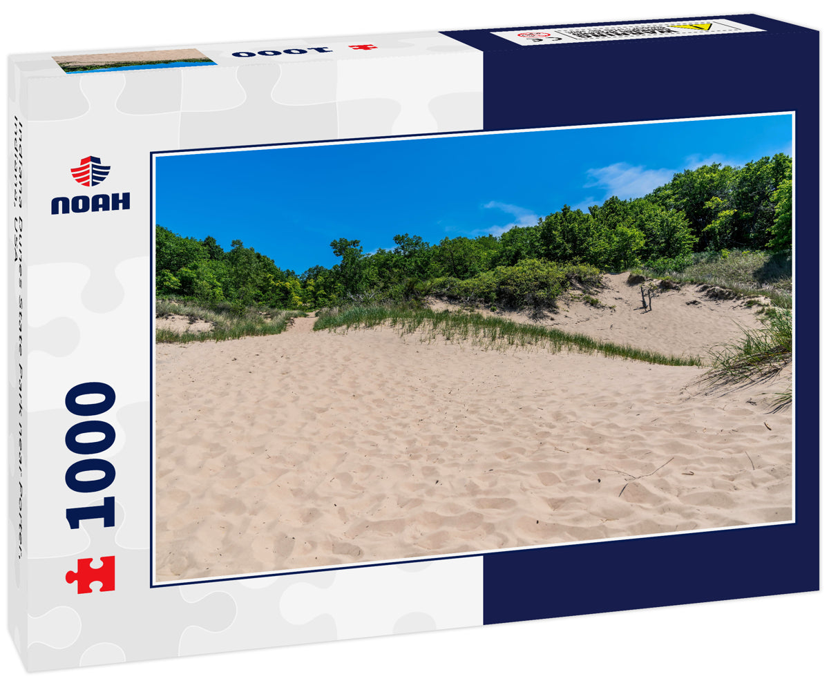 Indiana Dunes State Park near Porter, Indiana, USA