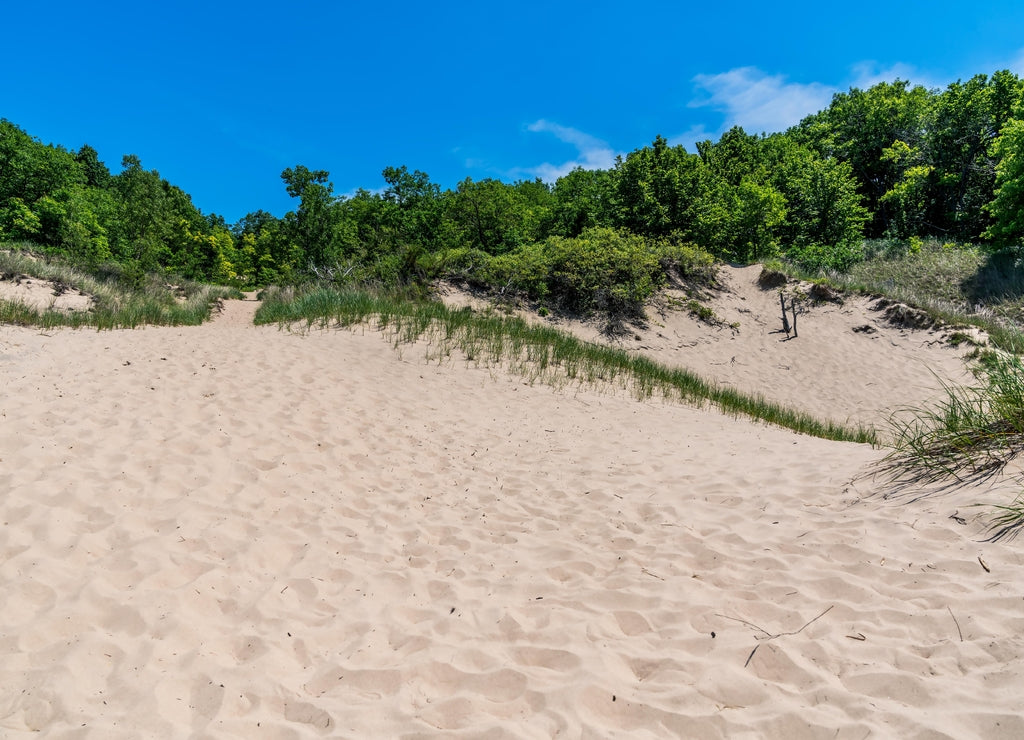 Indiana Dunes State Park near Porter, Indiana, USA