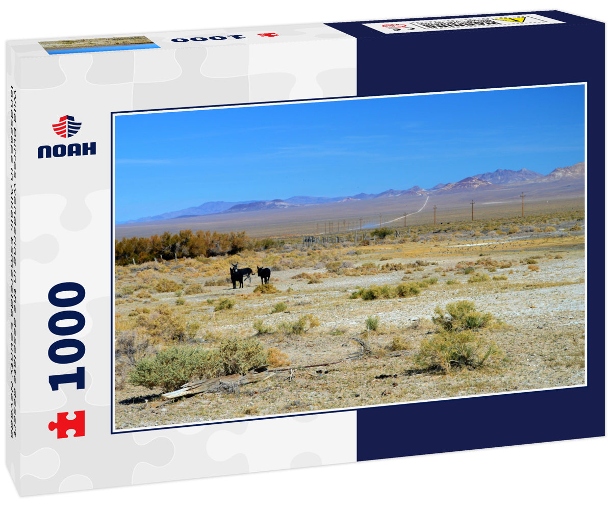 Wild Burros wondering in the desolate desert landscape in Alkali, Esmerelda County Nevada