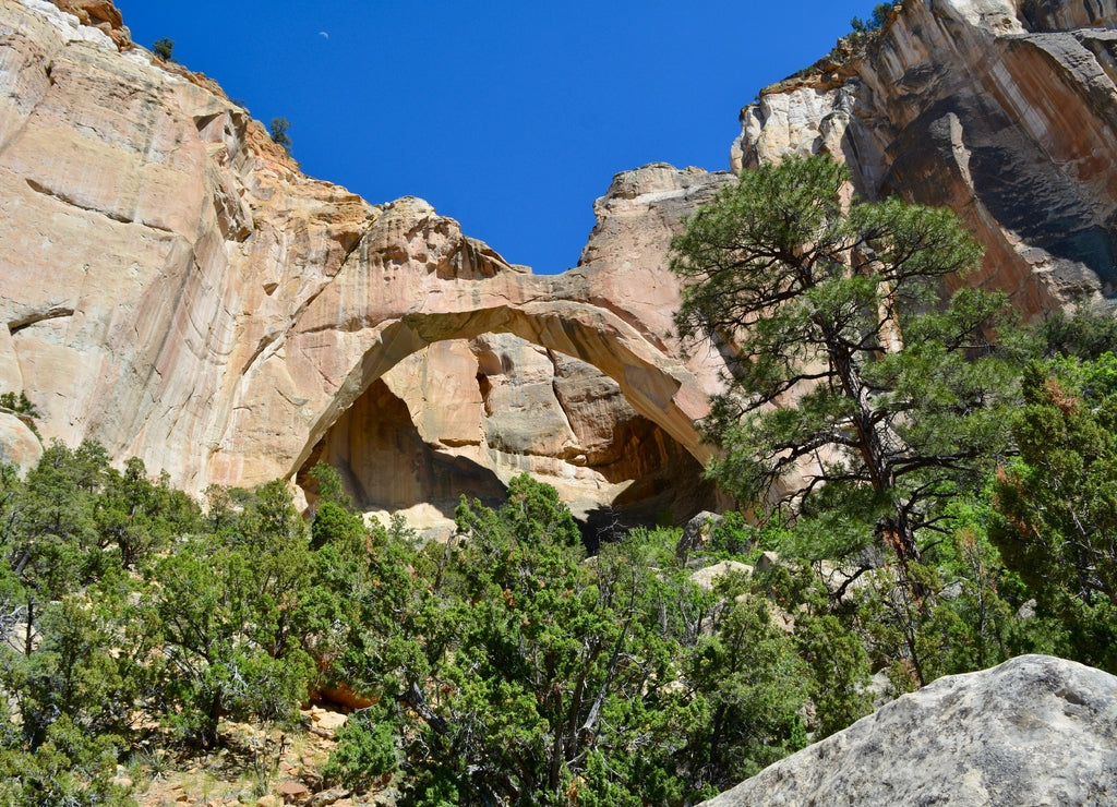 Sandstone Arch El Malpais National Monument New Mexico Grants