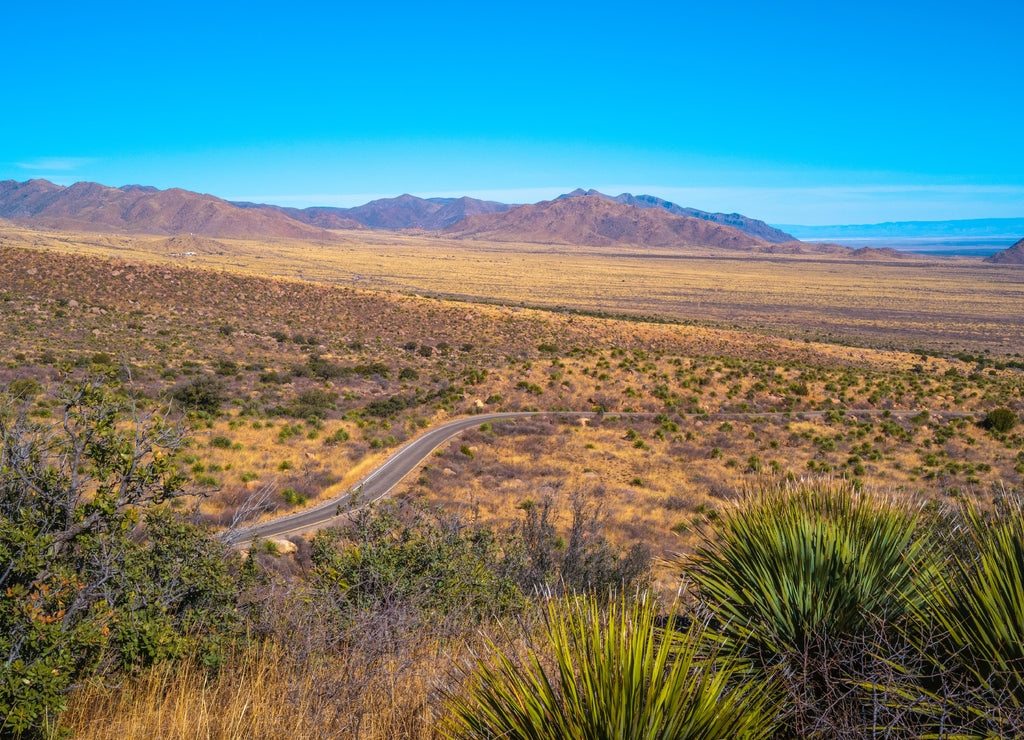 Organ Mountains, Desert Peaks National Monument in Las Cruces, Doña Ana County, New Mexico, Southwestern USA, tranquil arid desert land and plains with curved paved road and Yucca wilderness plants