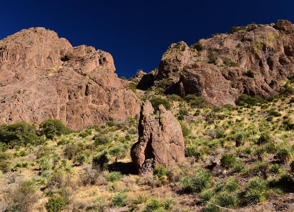 hiking the scenic soledad canyon trail on a sunny winter day in the organ peaks-desert peaks national monument near las cruces in southern new mexico