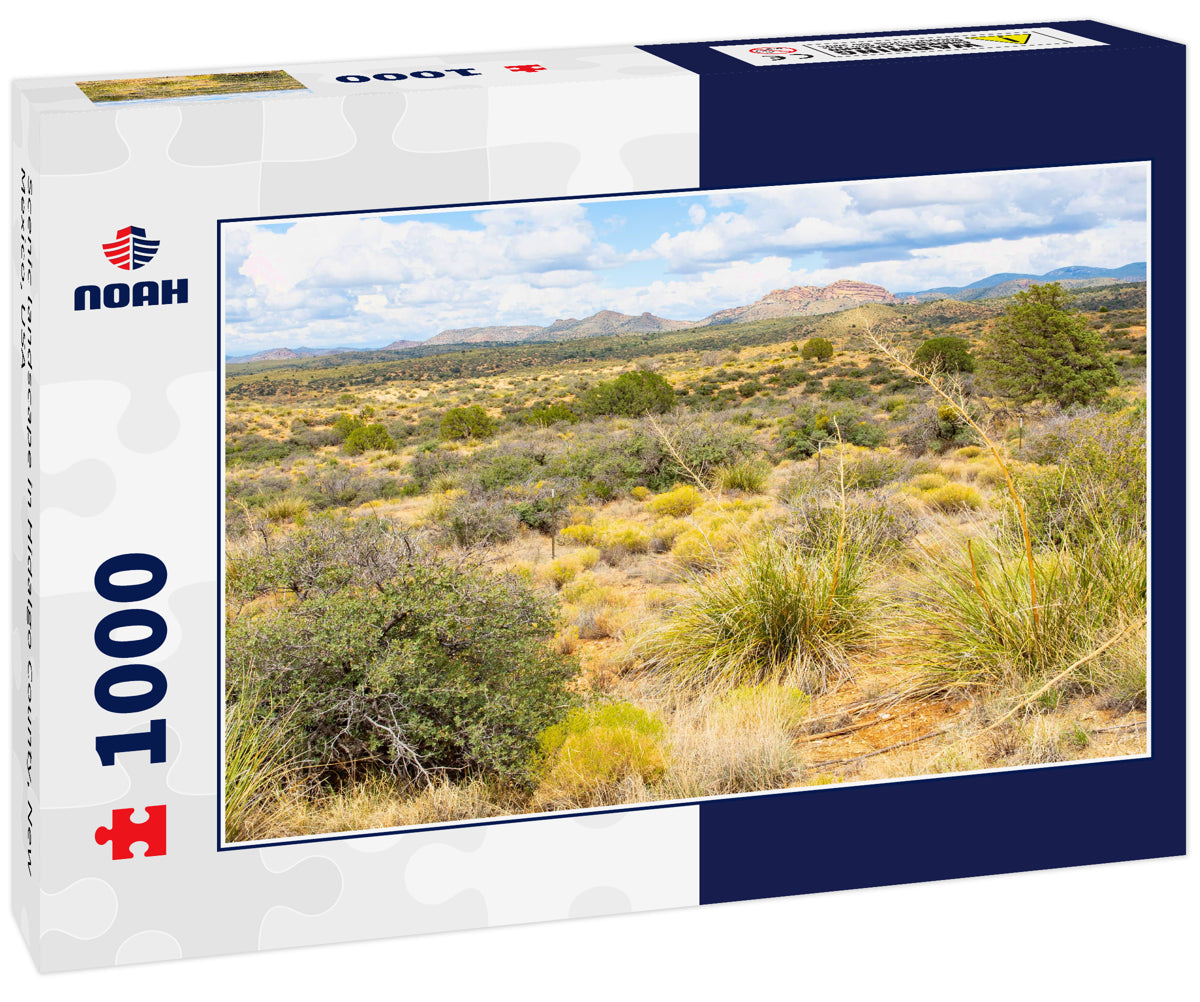 Scenic landscape in Hidalgo County, New Mexico, USA