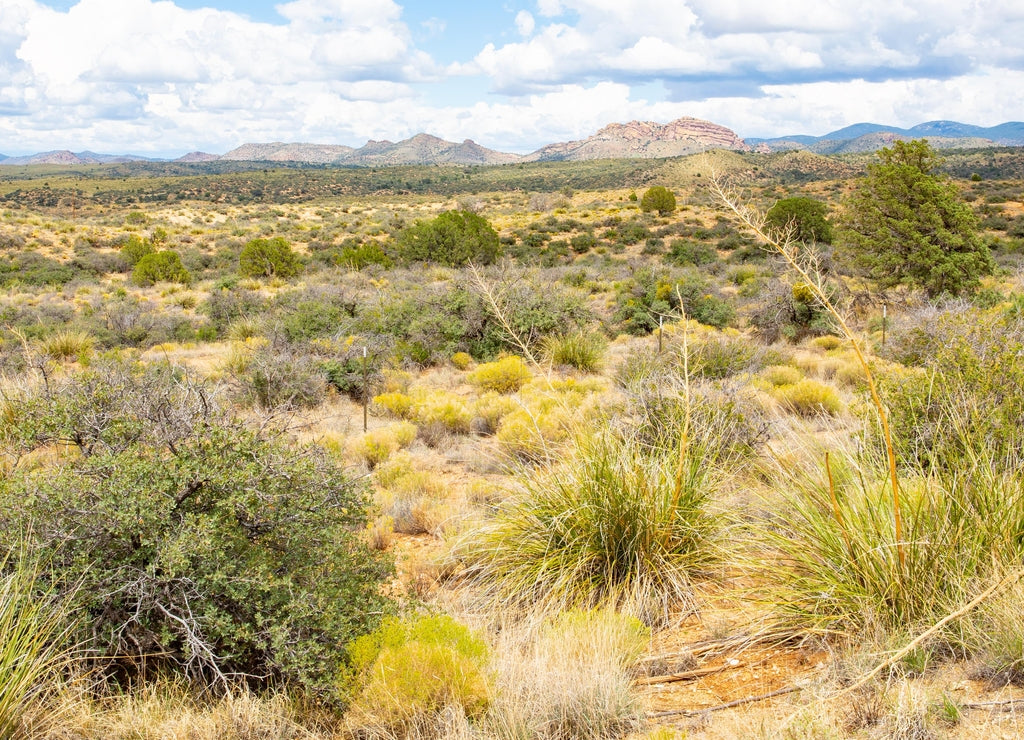 Scenic landscape in Hidalgo County, New Mexico, USA