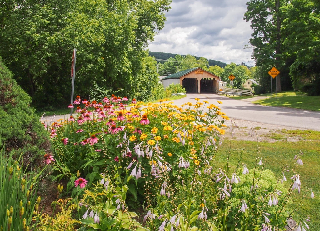 Pulp Mill Bridge, Middlebury, Vermont