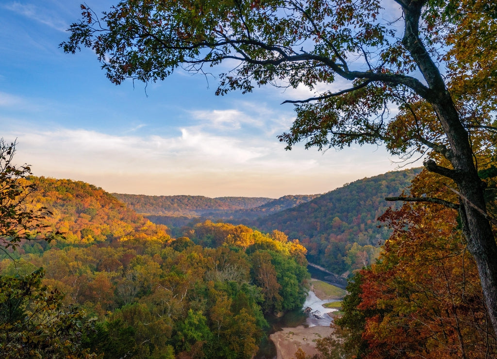 Mammoth Cave National Park