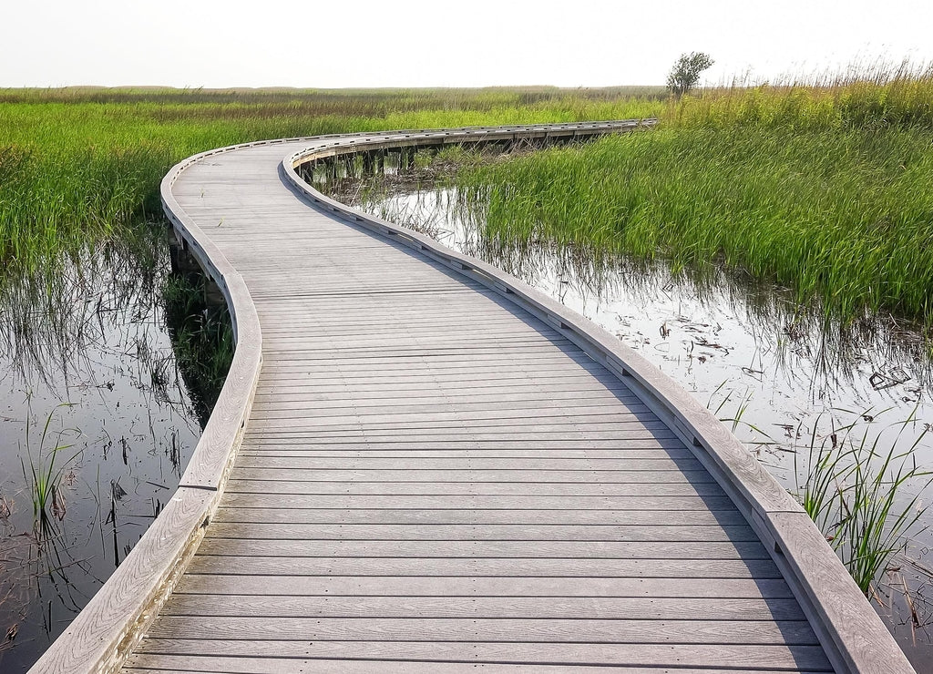 Boardwalk Through Marsh in Sabine National Wildlife Refuge in Louisiana