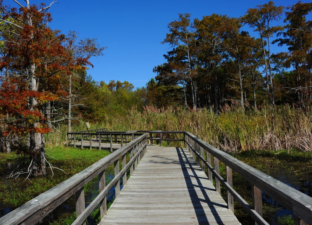 Black Bayou Lake National Wildlife Refuge Boardwalk