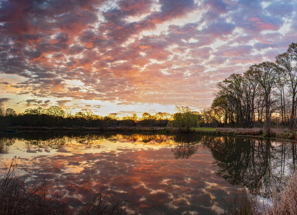 Panoramic View of Clouds and Trees Reflected in A Pond in St. Landry Parish Louisiana in Early Spring