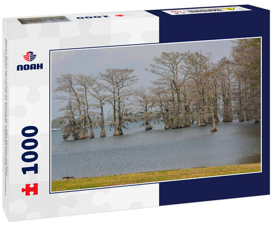 Moss draped Cypress trees in Lake Bruin on the Mississippi River at St Joseph, Tensas Parish, Louisiana