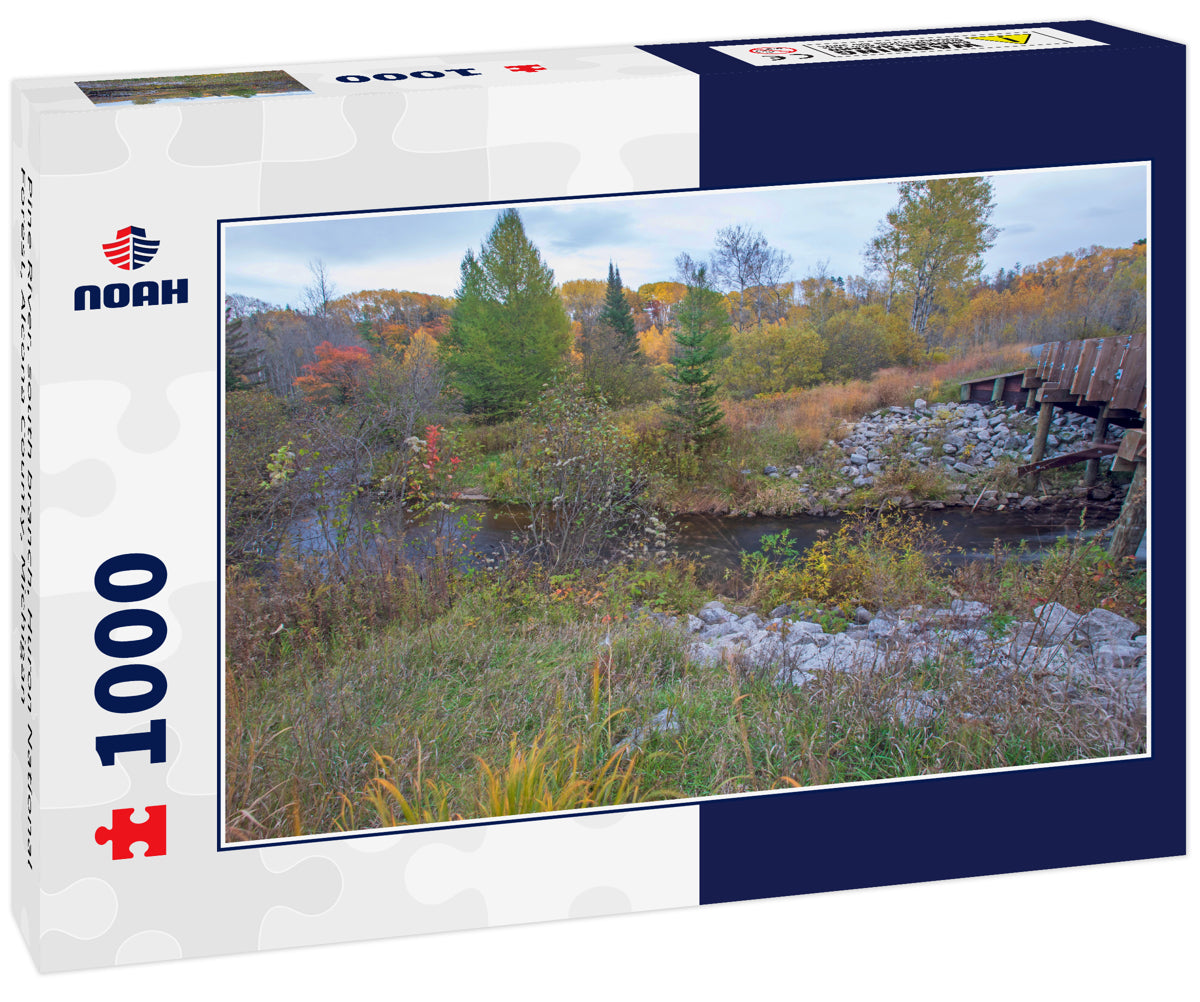 Pine River, south branch, Huron National Forest, Alcona County, Michigan