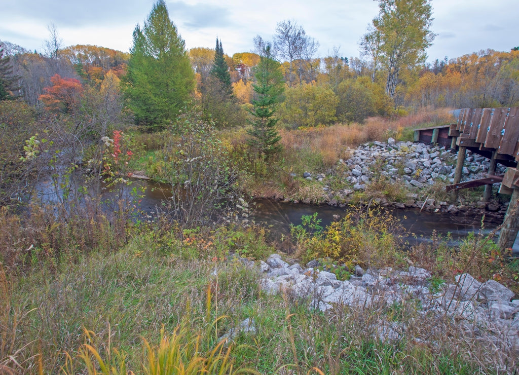 Pine River, south branch, Huron National Forest, Alcona County, Michigan