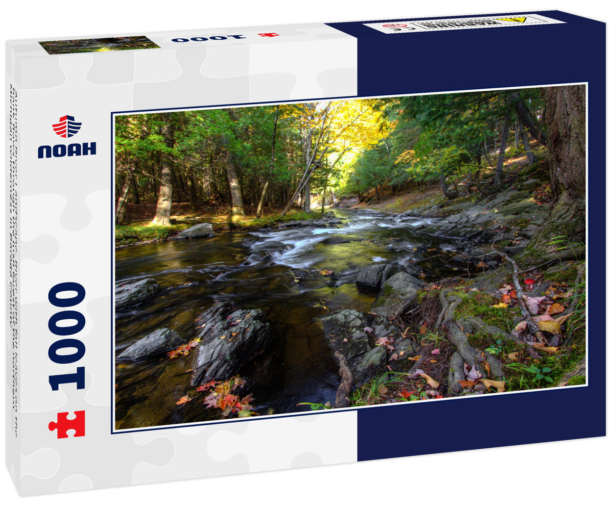 Autumn River Landscape. River with fall leaves on the bank flows through the lush forest of the northern Michigan wilderness in Baraga County