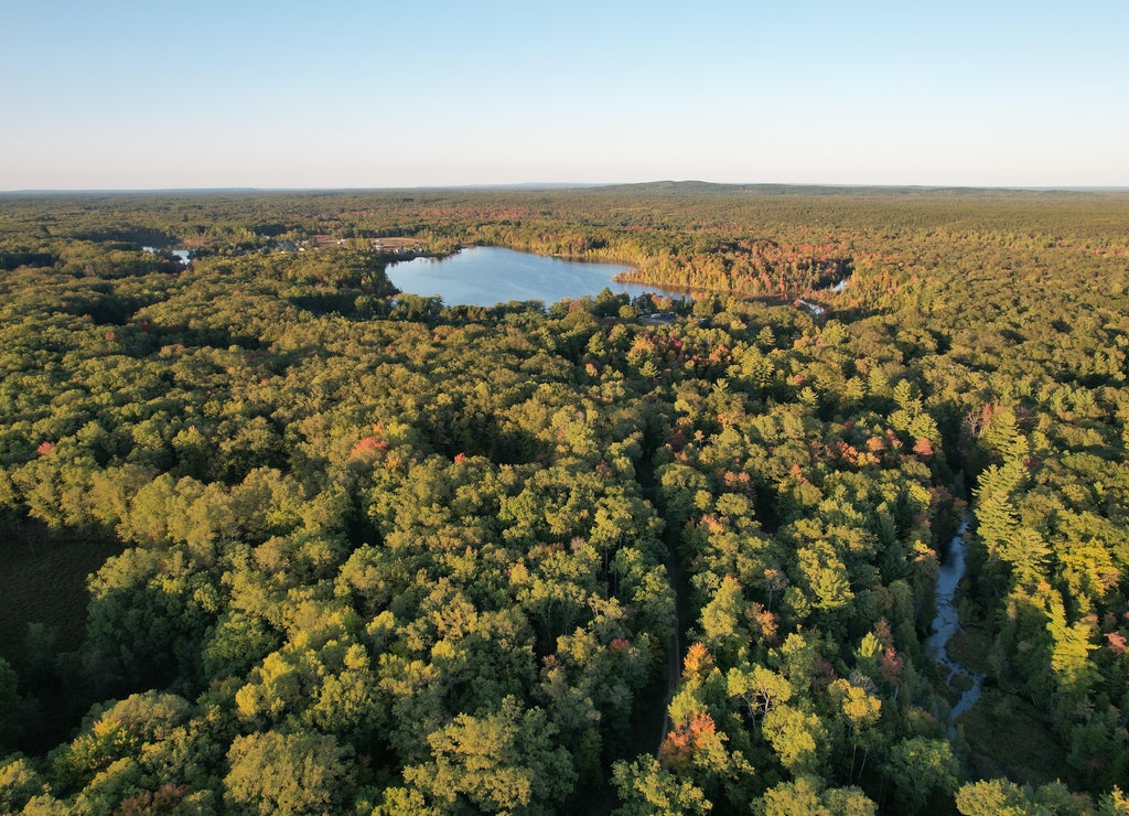 Sauble Lakes, Manistee National Forest, Lake County, Michigan