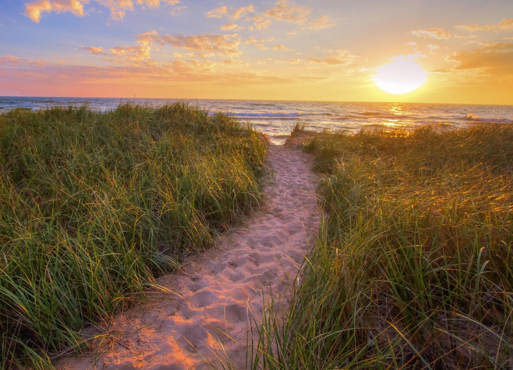 Path To A Summer Sunset Beach. Winding trail through dune grass leads to a sunset beach on the coast of the inland sea of Lake Michigan. Hoffmaster State Park. Muskegon, Michigan
