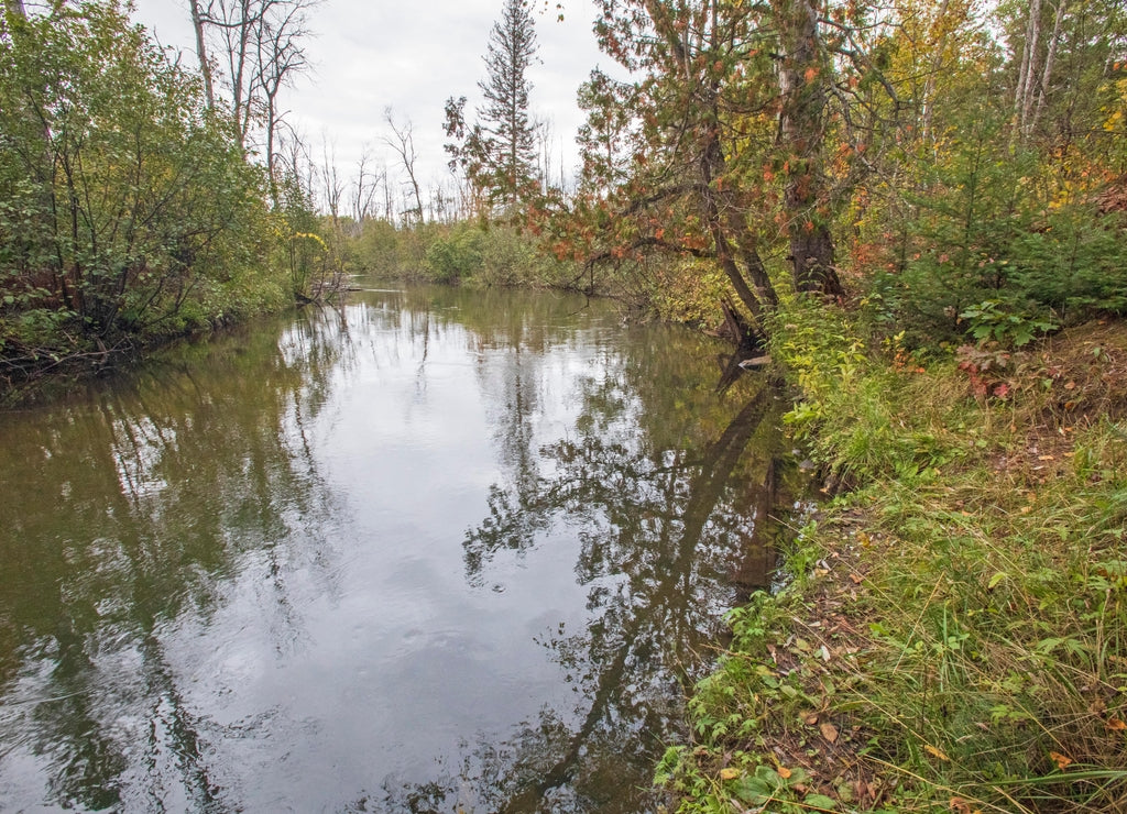 Rifle River, Rifle River Recreation Area, Ogemaw County, Michigan