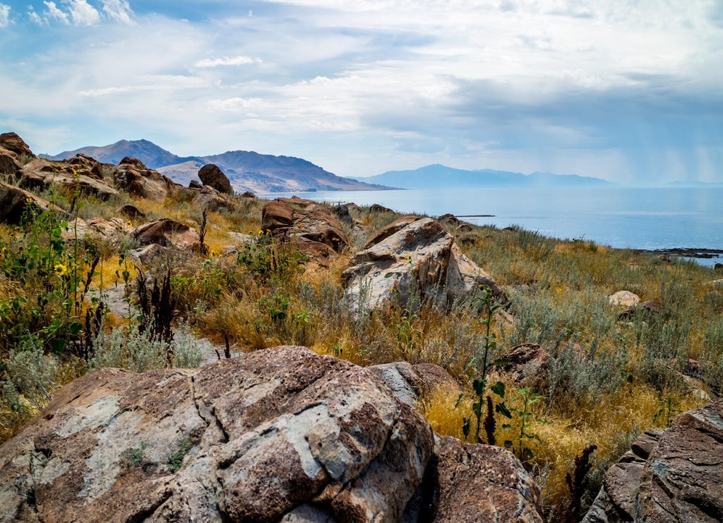 An overlooking view of nature in Antelope Island State Park, Utah