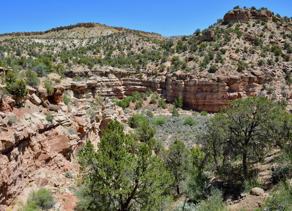 Escalante Petrified Forest State Park Utah
